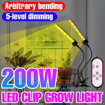 Гидропонная Лампа LED Phyto Light 12V Полный спектр 100W 200W Комнатный Цветок Из Семян Выращивает Лампу 300W 400W Выращивает Палатку Легкие Садовые палатки